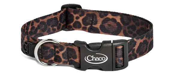 Dog Collar